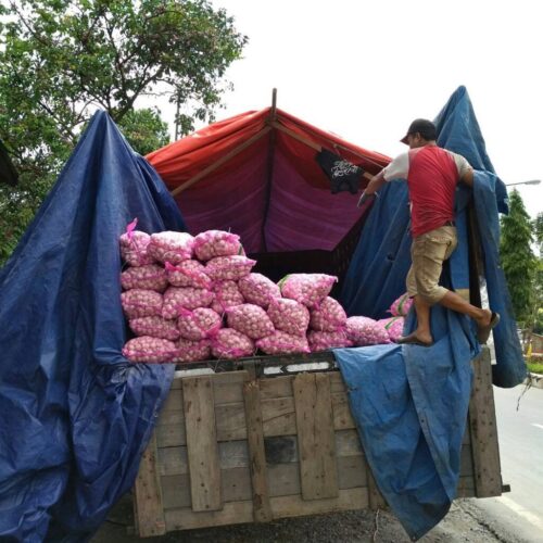 Galeri SAMA Logistik (3)